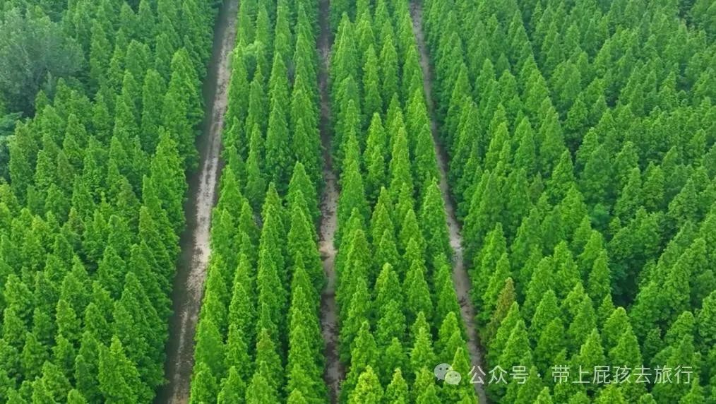 海滨风格_海滨的生活_海滨生活方式